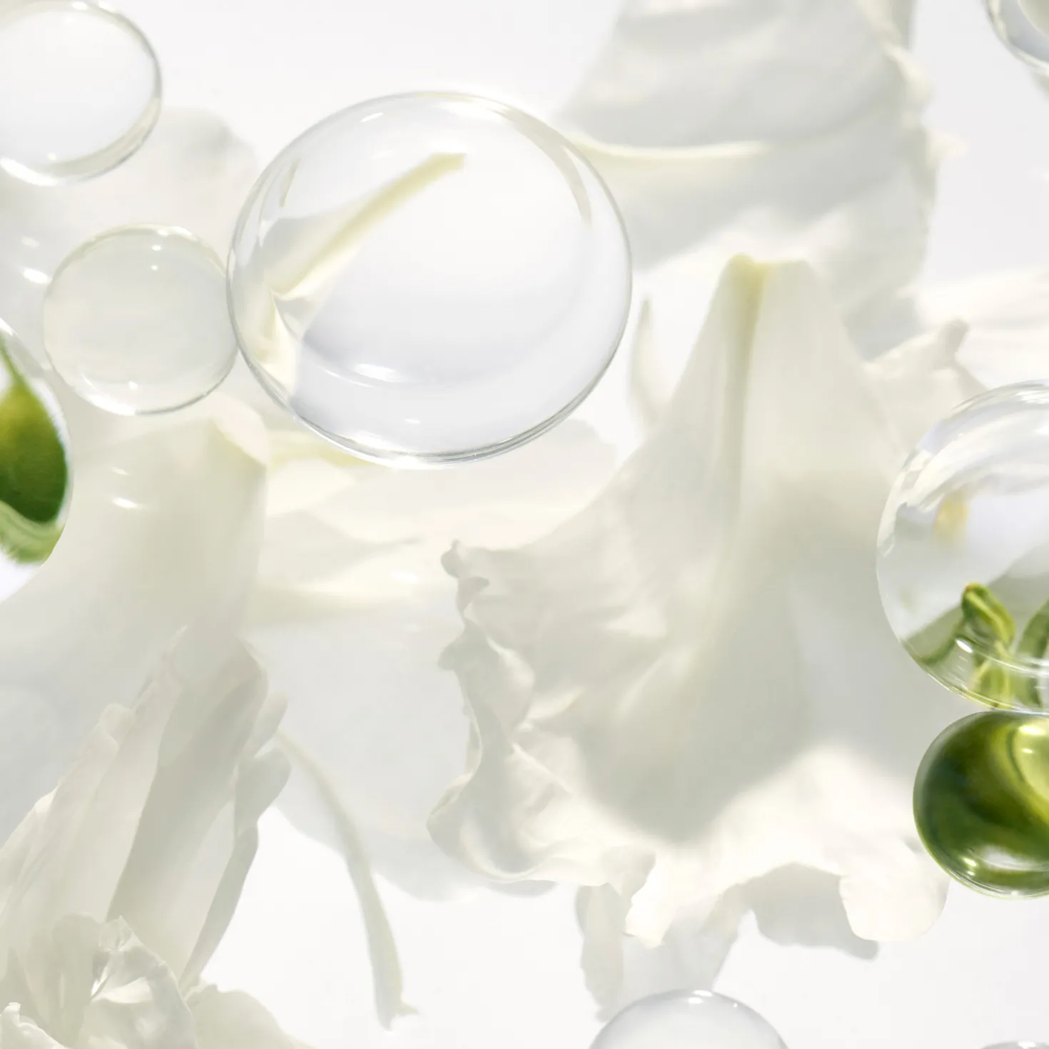 Blanc Peony Eye Serum Dark Spot Corrector