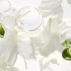 Blanc Peony Face Cream Dark Spot Corrector