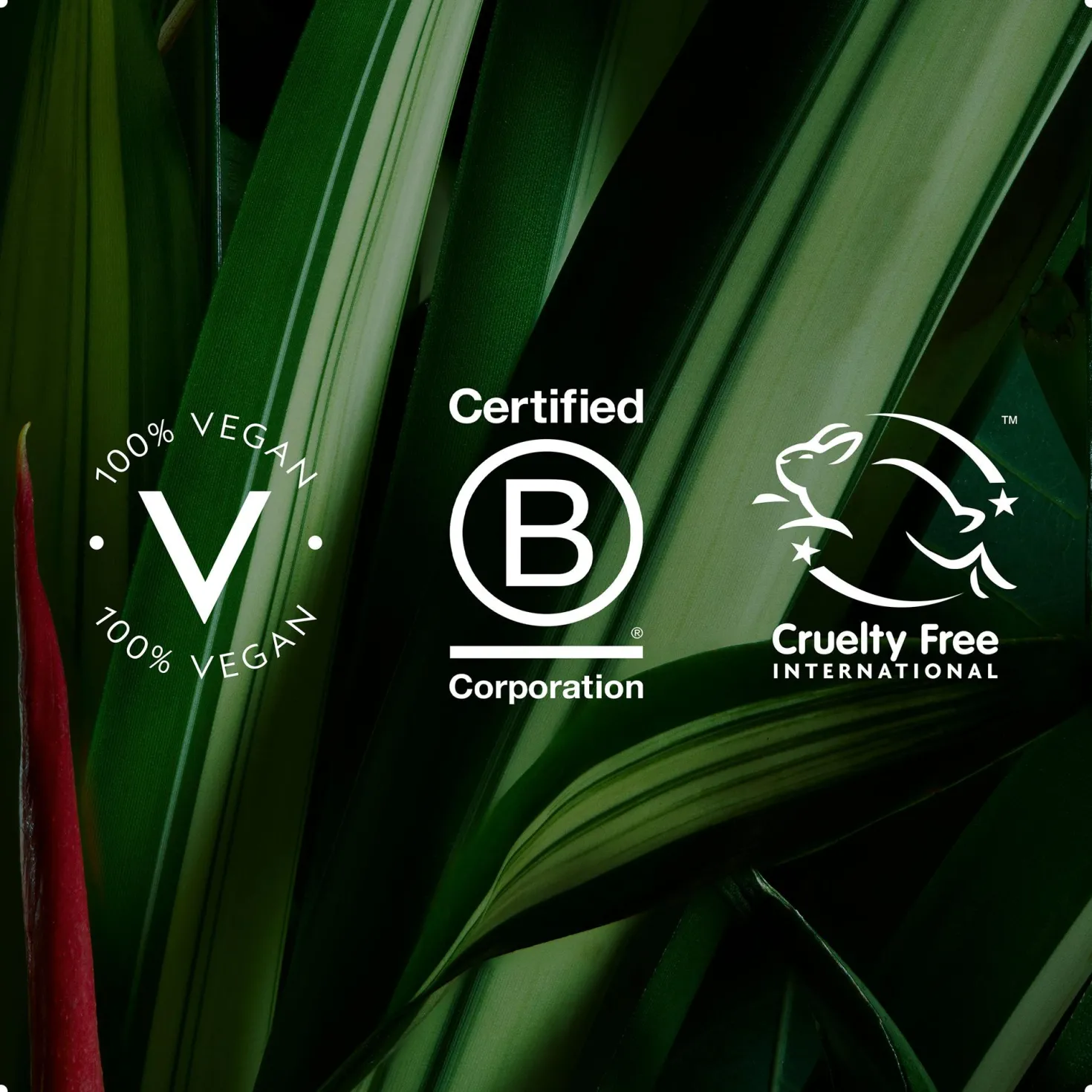 Botanical Repair™ Purple Toning Shampoo