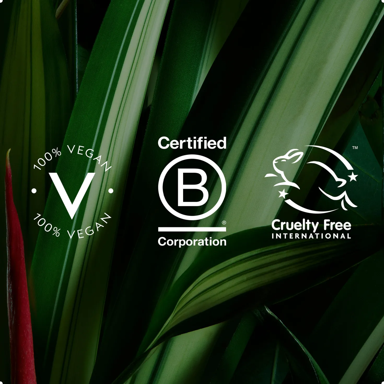 botanical repair™ strengthening shampoo