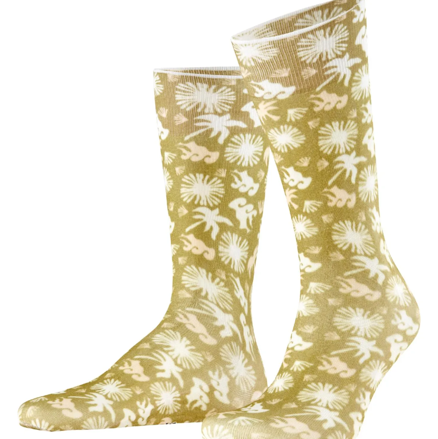 Burlington lagoon herren