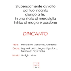 Dincanto