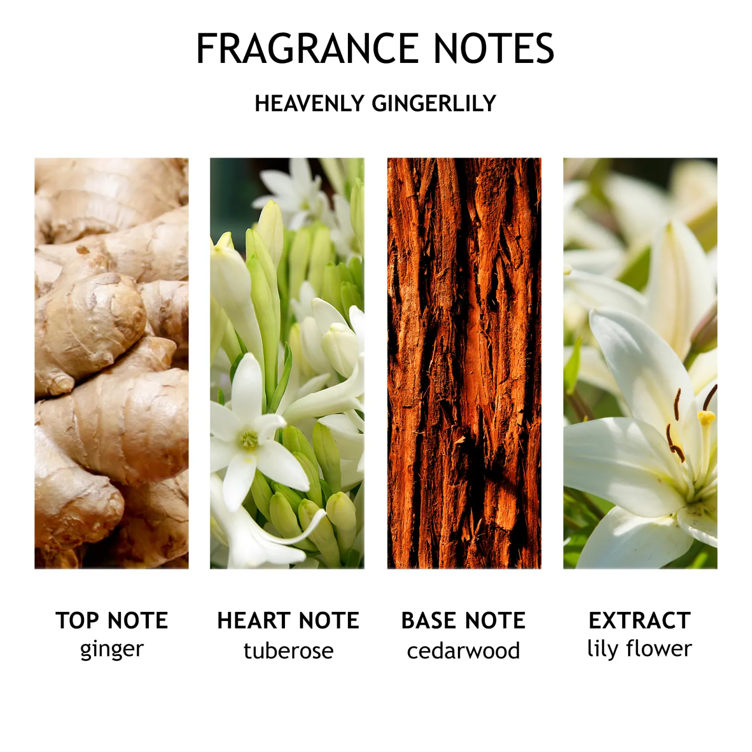 Heavenly Gingerlily Body Lotion