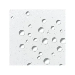 Hyaluronic Ceramide Mist