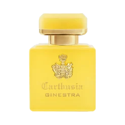 Intenso di Ginestra Parfum