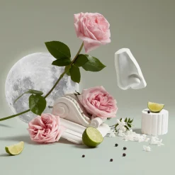 Luna Eau de Toilette