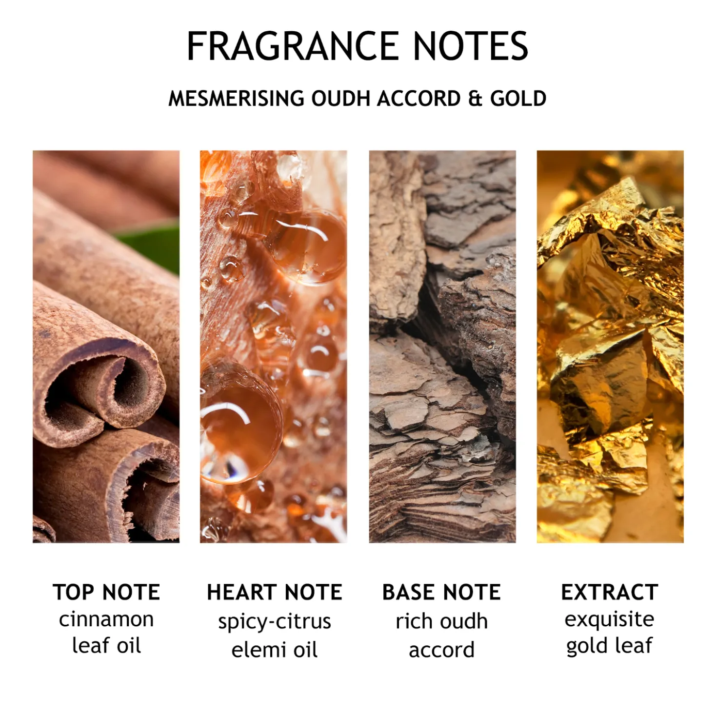 Mesmerising Oudh Accord & Gold Hand Lotion