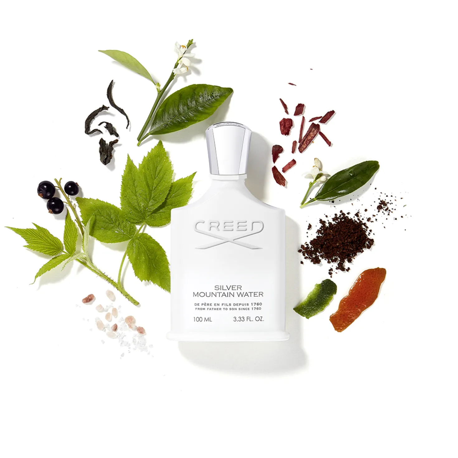 Silver Mountain Water Eau de Parfum