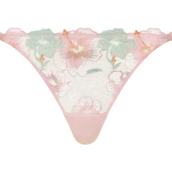 Tanga Daydream