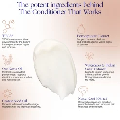 The Conditioner