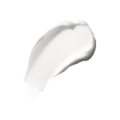 The Moisturizing Cream