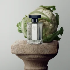 Tonka Blance Eau de Parfum